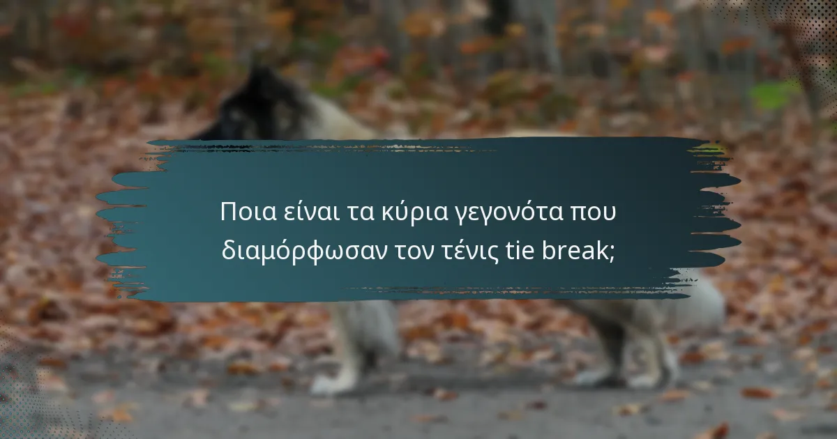 Ποια είναι τα κύρια γεγονότα που διαμόρφωσαν τον τένις tie break;