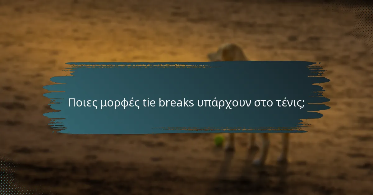 Ποιες μορφές tie breaks υπάρχουν στο τένις;