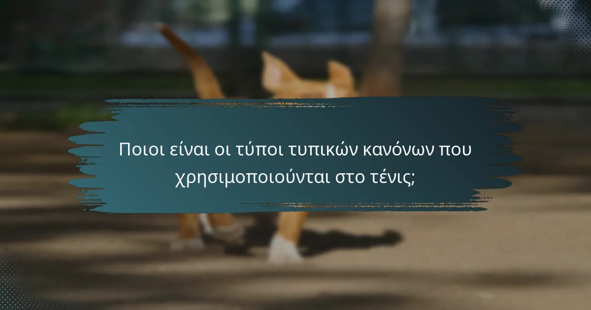 Ποιοι είναι οι τύποι τυπικών κανόνων που χρησιμοποιούνται στο τένις;