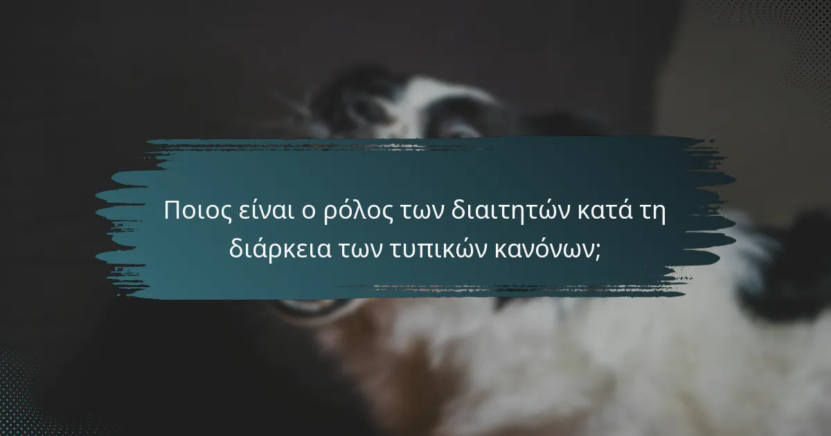 Ποιος είναι ο ρόλος των διαιτητών κατά τη διάρκεια των τυπικών κανόνων;