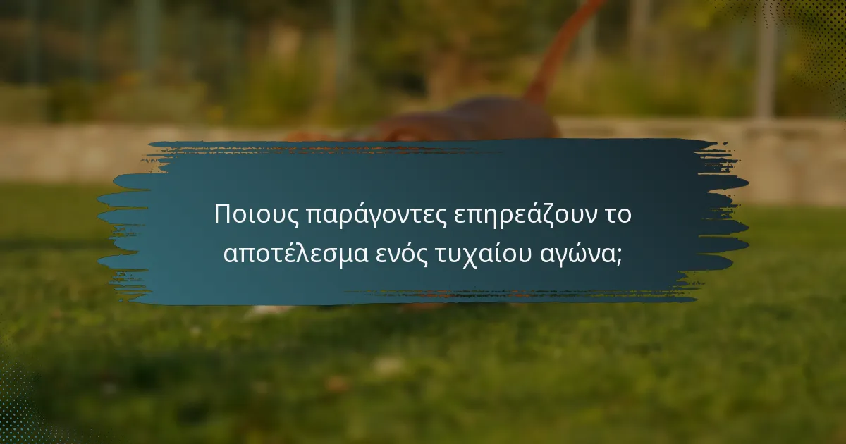 Ποιους παράγοντες επηρεάζουν το αποτέλεσμα ενός τυχαίου αγώνα;