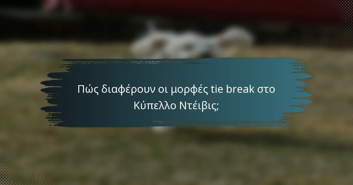 Πώς διαφέρουν οι μορφές tie break στο Κύπελλο Ντέιβις;