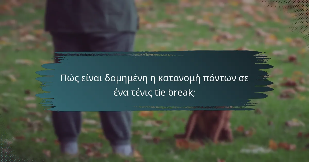 Πώς είναι δομημένη η κατανομή πόντων σε ένα τένις tie break;