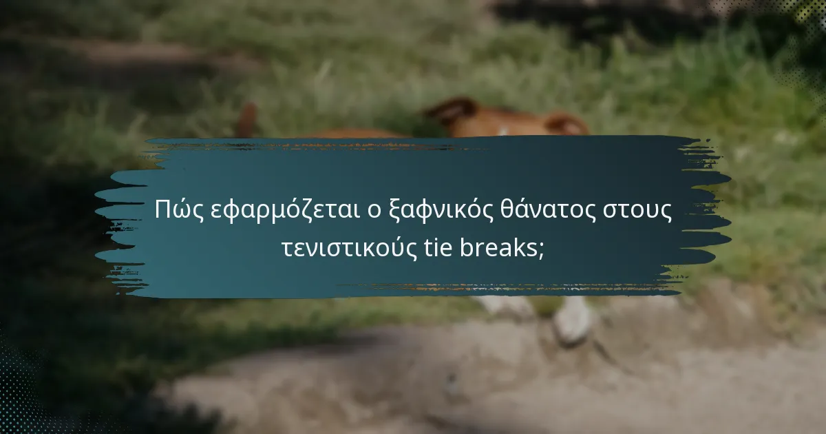 Πώς εφαρμόζεται ο ξαφνικός θάνατος στους τενιστικούς tie breaks;